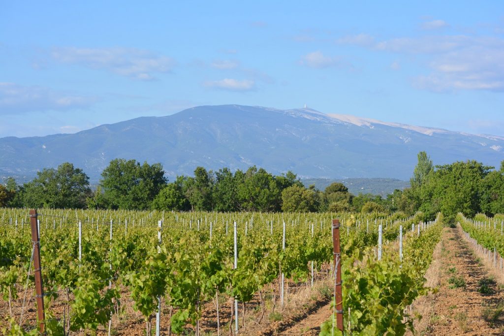 ventoux