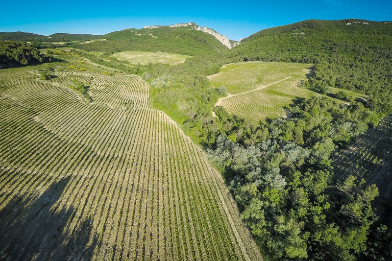 vignoble géologie amadieu