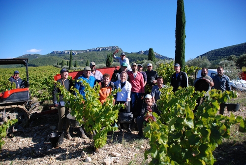 Vendanges 2021 Clairette Pierre Amadieu