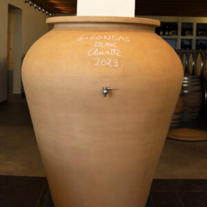 White Gigondas in Amphorae