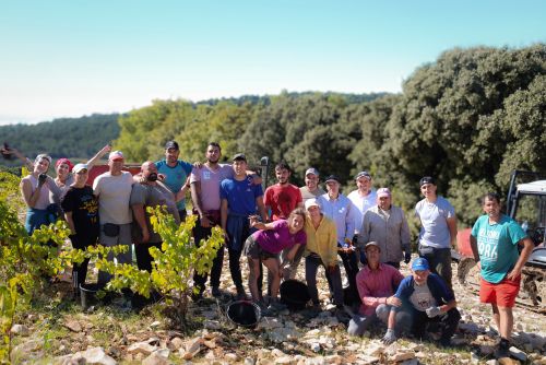 Gigondas-Vendangeurs-Pierre-Amadieu