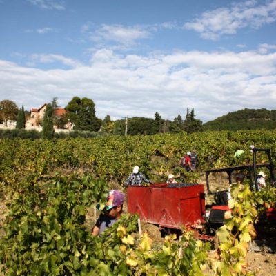 Vendanges 2018