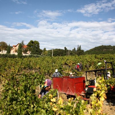 Vendanges 2018